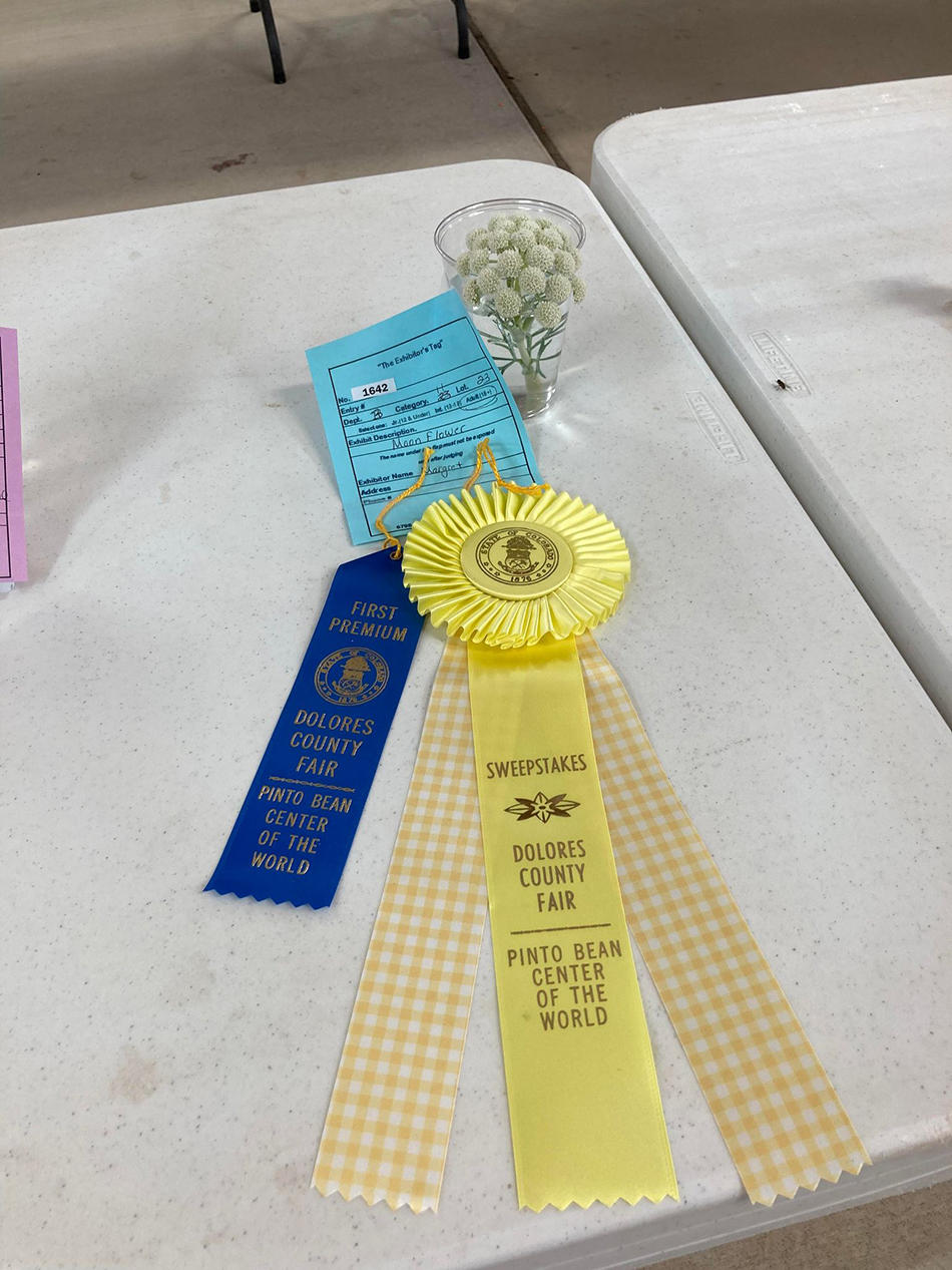 2022 County Fair in Review