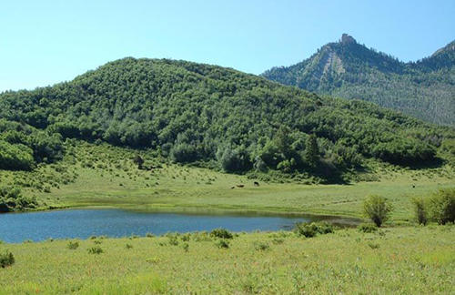 Picture of a Mountain in Dolores County
