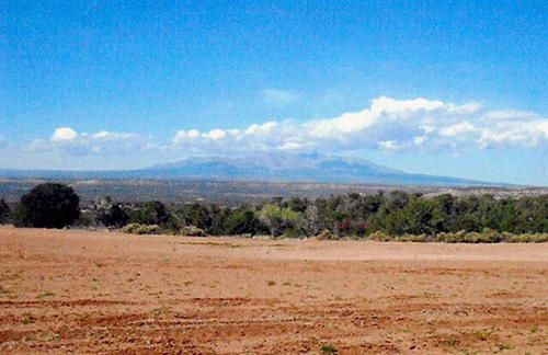 Picture of Dolores County Dirt Road